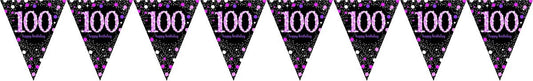 Pink Celebration 100 Prismatic Pennant Banner - Plastic