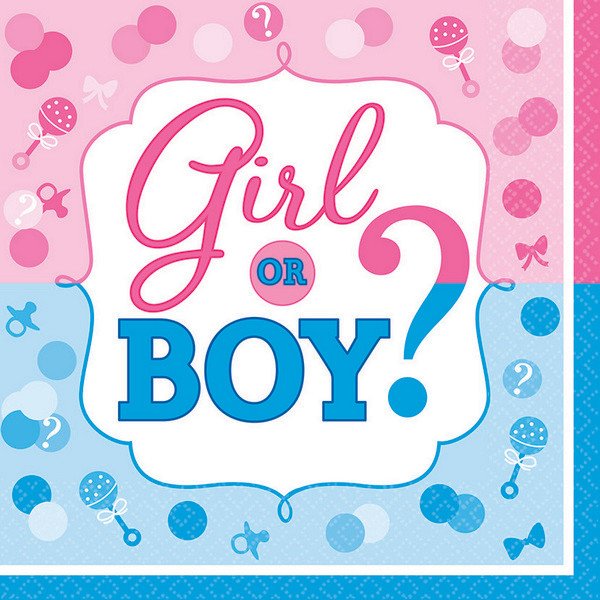 Girl or Boy? Lunch Napkins Gender Reveal