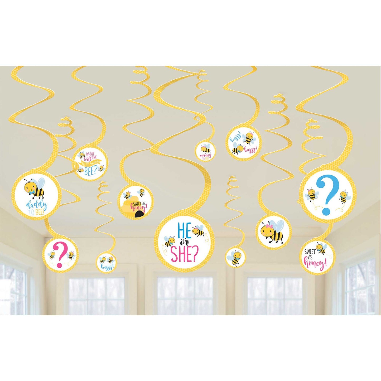 What Will it Bee? Spiral Decorations Value Pack