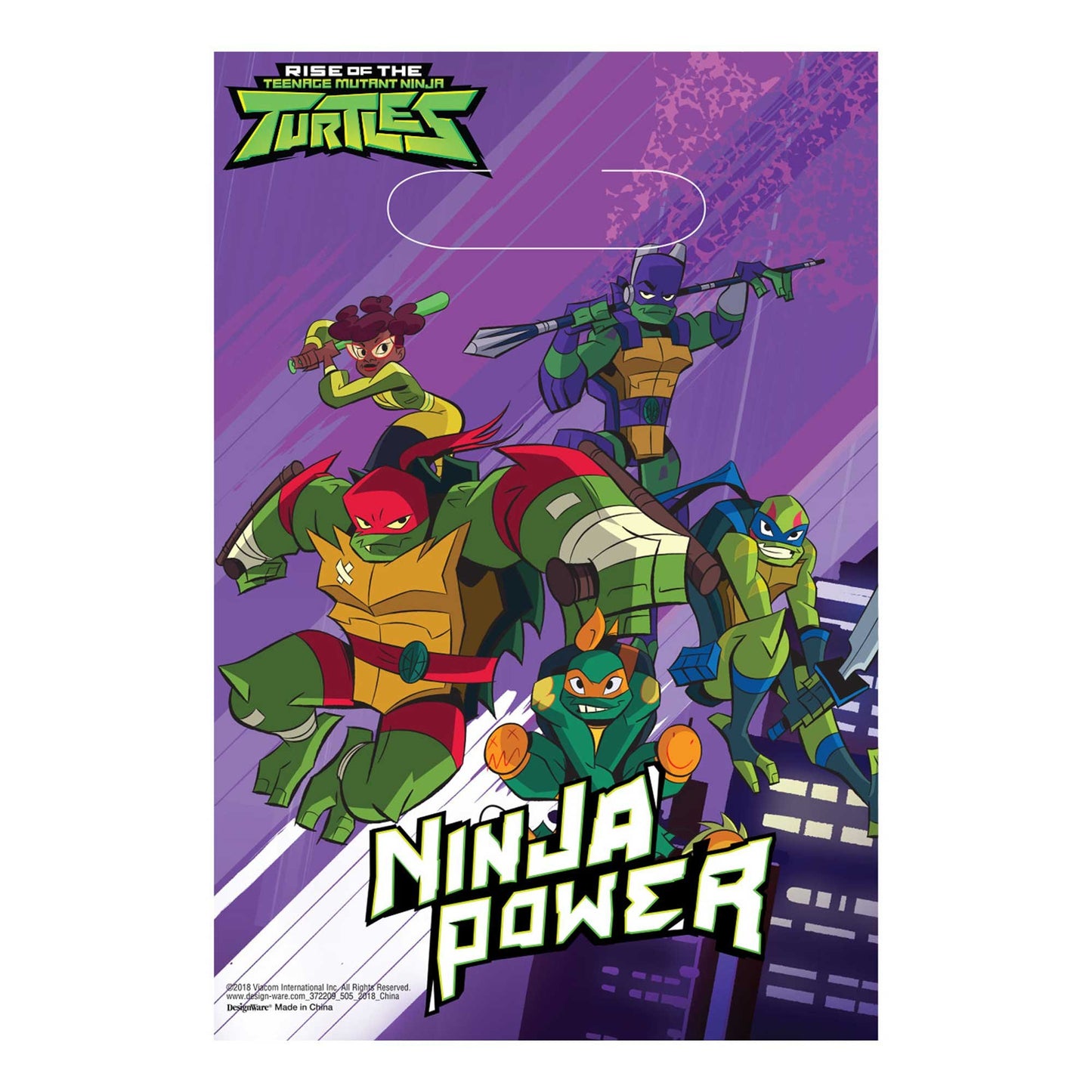 Rise of the Teenage Mutant Ninja Turtles Folded Loot Bags