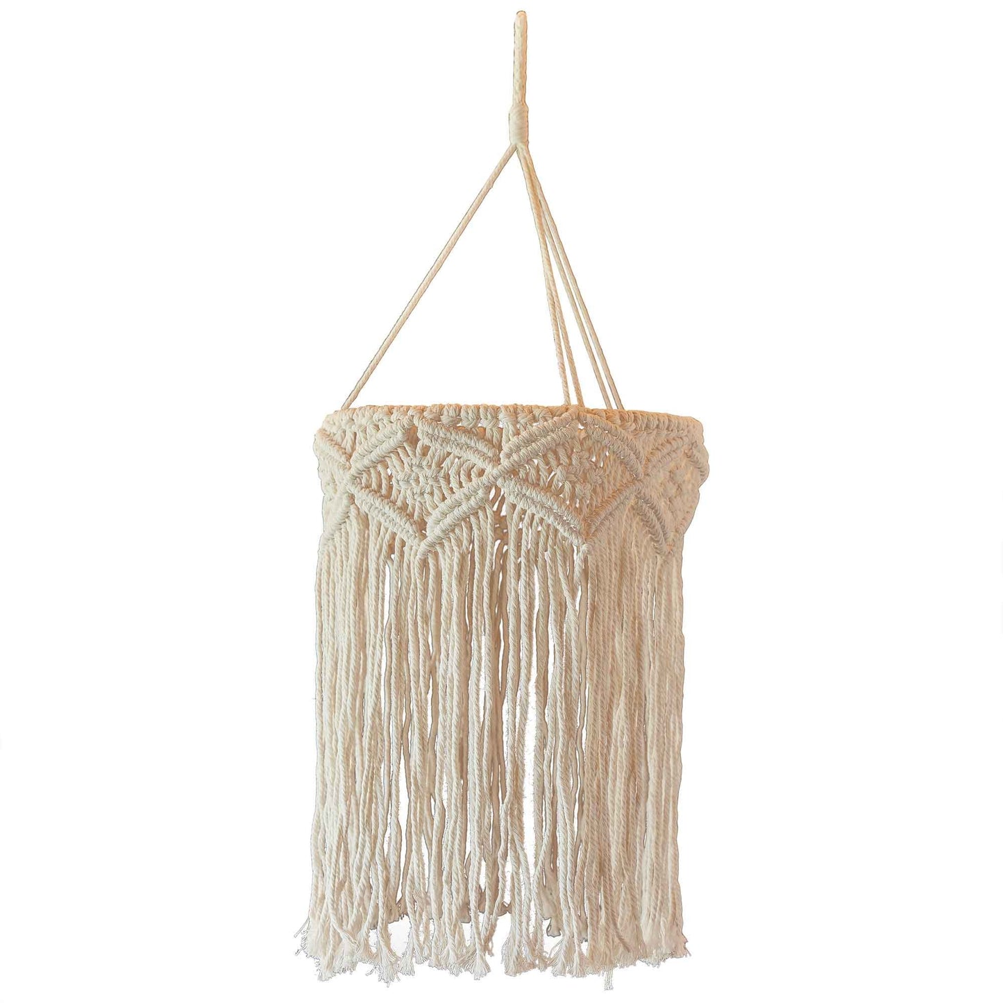 A Touch of Pampas Macrame Chandelier